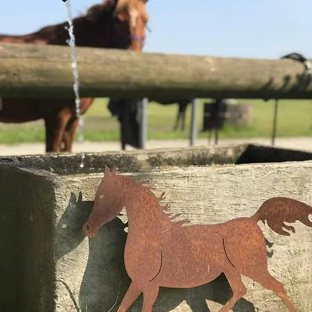 Appartement Tiny House Auf Pferdehof