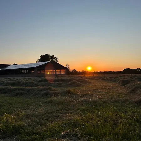 아파트 Tiny House Auf Pferdehof 워렌도르프