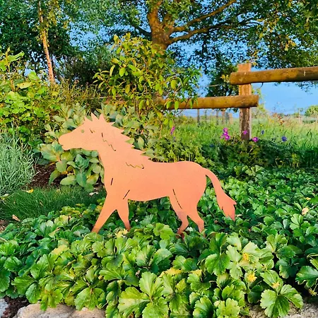 Tiny House Auf Pferdehof *