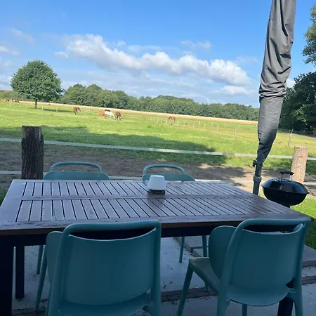 Tiny House Auf Pferdehof Διαμέρισμα Warendorf