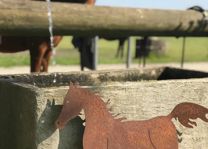 Lägenhet Tiny House Auf Pferdehof