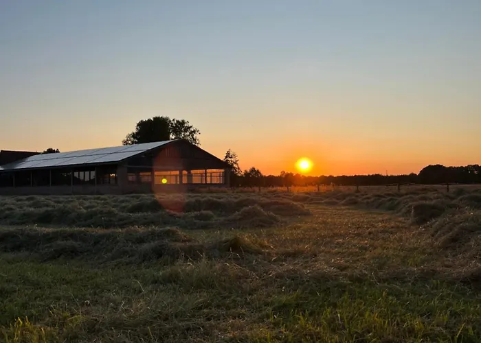 Lejlighed Tiny House Auf Pferdehof Warendorf