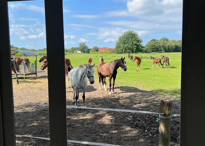 Tiny House Auf Pferdehof * Warendorf