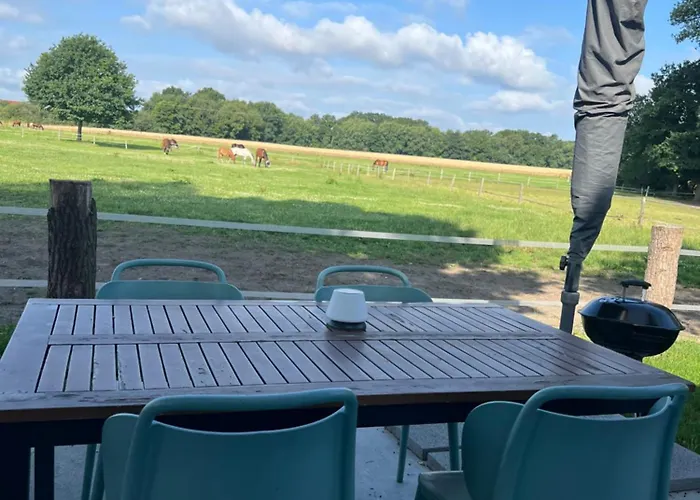 Tiny House Auf Pferdehof Lägenhet Warendorf