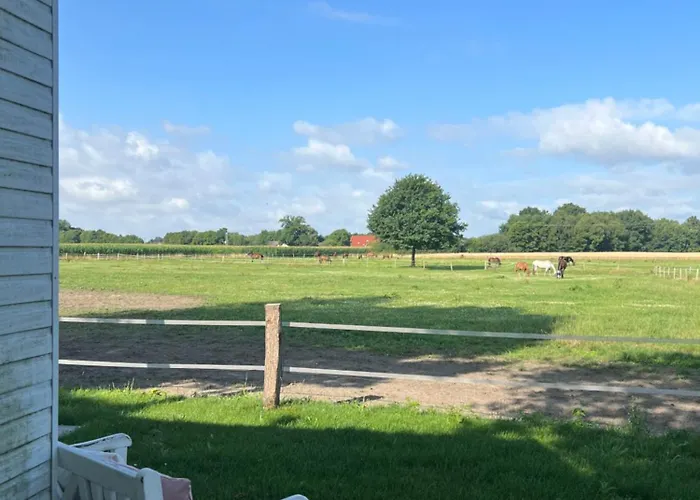 Tiny House Auf Pferdehof Lejlighed Warendorf